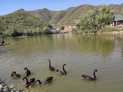 -静之湖度假区