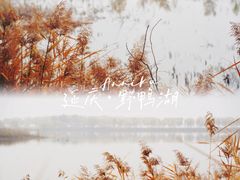 -野鸭湖国家湿地公园