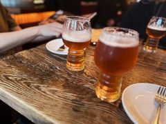 -Boxing Cat Brewery拳击猫精酿啤酒馆(思南公馆店)
