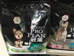 -瑞鹏宠物医院·骨科·猫科·内科(第一中心)