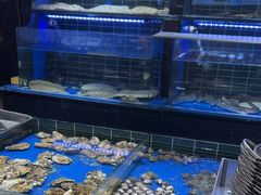 -永红源啤酒·烧烤·海鲜·大排档(青特城店)