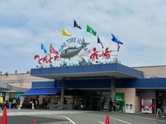 -南纪白浜Toretore市场