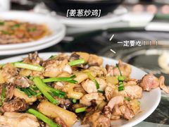 姜葱炒鸡-食的禄山庄