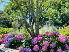 -上海共青森林公园