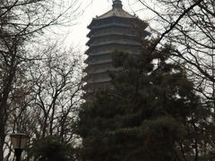 -玲珑塔公园