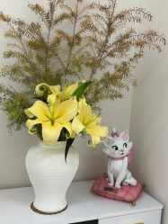 -WENDY·温迪皮肤管理