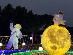 -金卉庄园