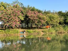 -滴水岩森林公园