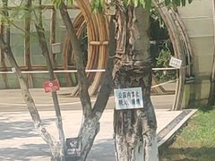 -金海湾滨江公园