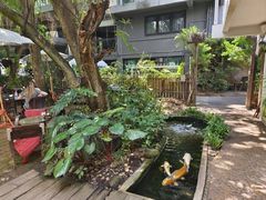 -Fern Forest Cafe
