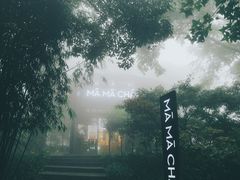 -MAMACHA妈妈茶(岳麓山店)