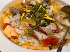 -花溪雨·森林餐厅(石基店)