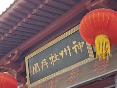 -神州牡丹园