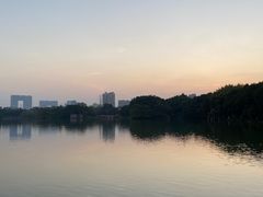 -海珠湖公园