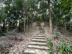 -南山植物园
