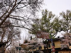 -鸡鸣寺