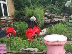 -丽泽山庄·生态怀柔菜·虹鳟鱼(红螺寺店)