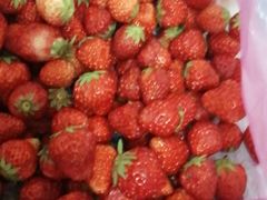 -合肥滨湖国家森林公园