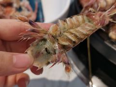 -半岛听涛蒸汽海鲜自助(K11店)