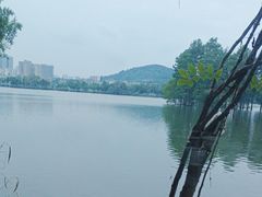 -东湖食堂·湖景餐厅•会议