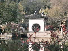 -红梅公园