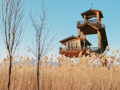 -野鸭湖国家湿地公园