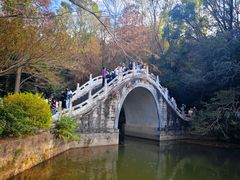 -深圳仙湖植物园