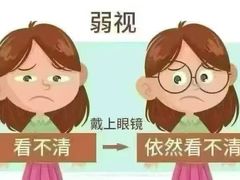 -宝视达眼镜(周口市广场店)