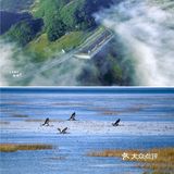 威宁草海｜中国三大高原湖泊之一
