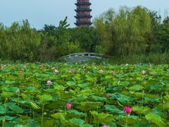 -江苏三台山国家森林公园