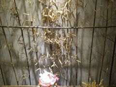 -泰·菩提树下[泰式按摩x精油SPAx肩颈头疗](新景店)