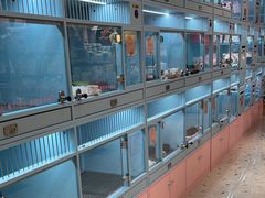 -FAELING PETS美天灵宠物(合生汇店)