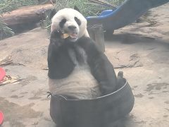 -石家庄市动物园