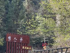 -石台牯牛降景区