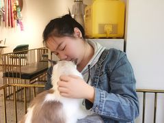 -喵喵咪呀布偶猫咖(春熙路店)