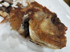 香煎马头鱼-金苑海鲜酒家(新港中路店)