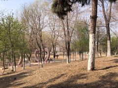 -莫子山公园