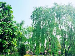 -尚贤河湿地