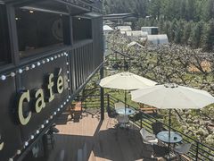 -帽儿山国家森林公园