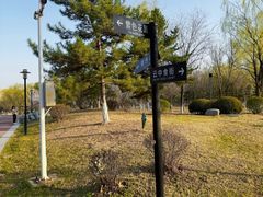 -莫子山公园