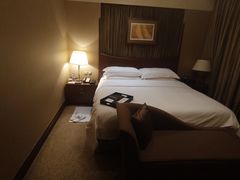 -上海红塔豪华精选酒店