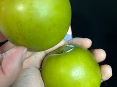 -五里多农博广场