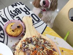 -汪小喵宠物·戴维斯乐芳希施宠馨宝皮毛调理洗护店