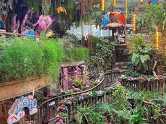 -正佳雨林生态植物园