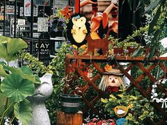 -京北渔家傲