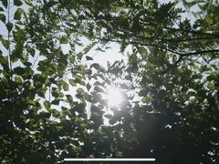 -柳市现代广场