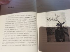 -回龙观体育文化公园