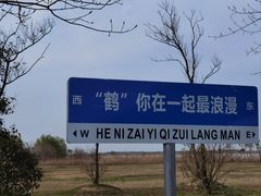 -盐城丹顶鹤湿地生态旅游区