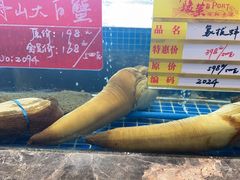-骏莱海鲜鱼港(五角场店)