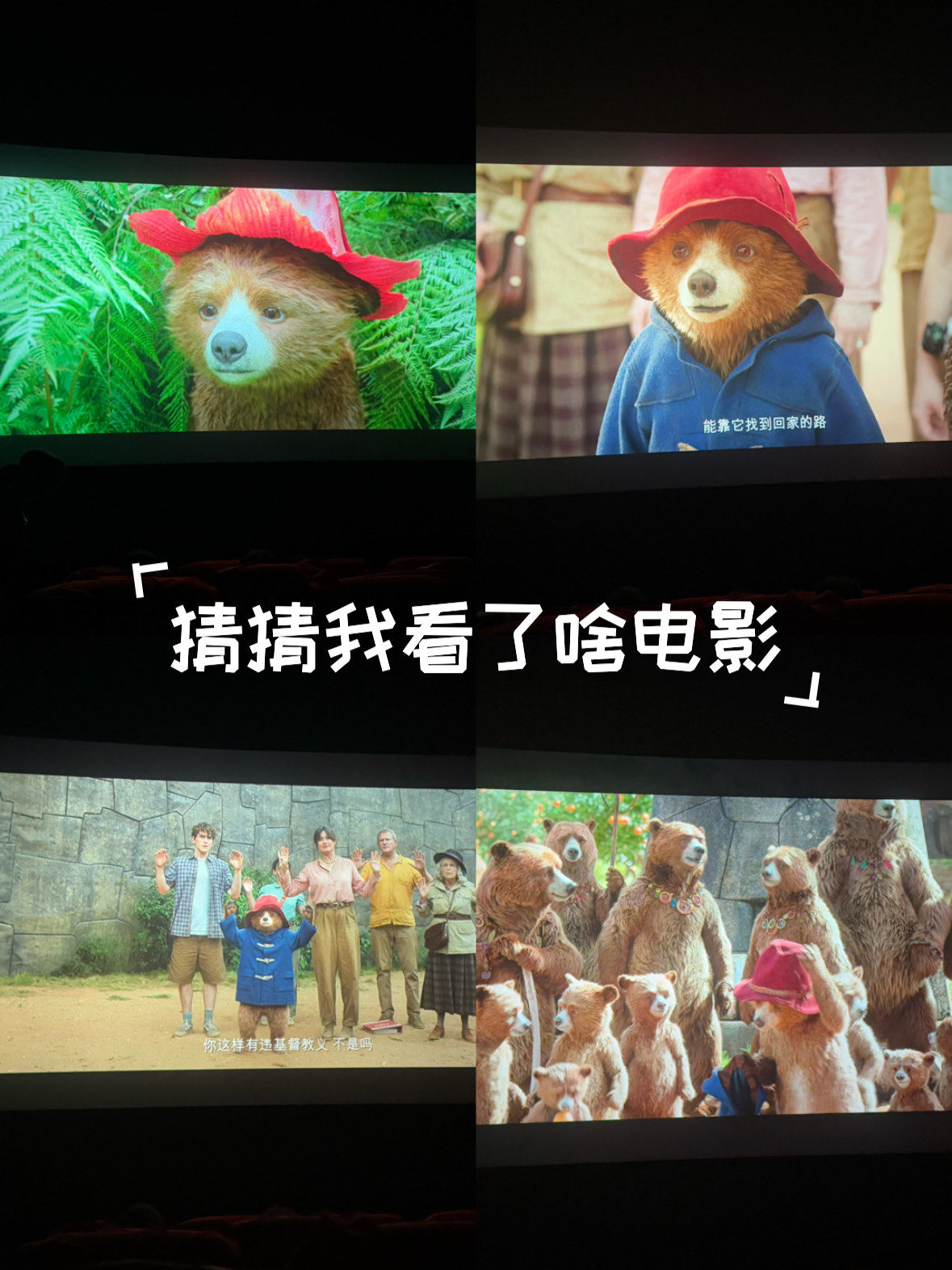 帕丁顿熊3:秘鲁大冒险